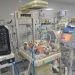 Desperate Gaza doctors cram several babies into one incubator as fuel crisis reaches critical point