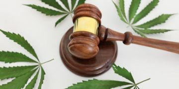 Hemp THC Recriminalization: A Blow to a Blooming Industry