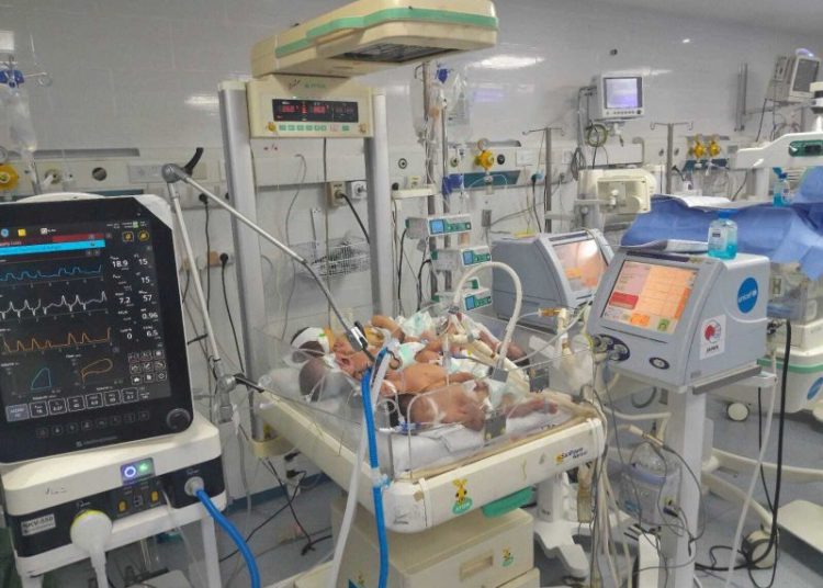 Desperate Gaza doctors cram several babies into one incubator as fuel crisis reaches critical point